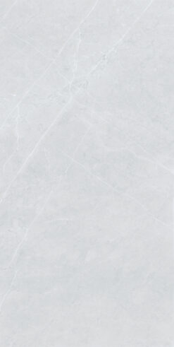 Eternal Açık Gri 60x120 Full Lappato 9mm