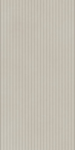 Best Panwall Bone 60x120 Mat 9mm