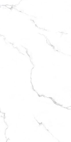 Carrara Gri 60x120 Full Lappato 9mm