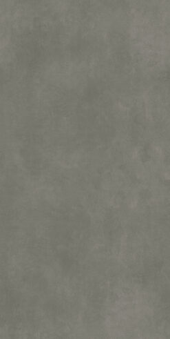 Cerastone Gri 60x120 Mat 9mm