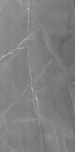 Efes Koyu Gri 60x120 Full Lappato 9mm