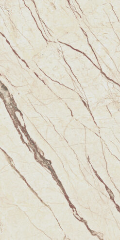 Mumbai Kahve 60x120 Full Lappato 9mm