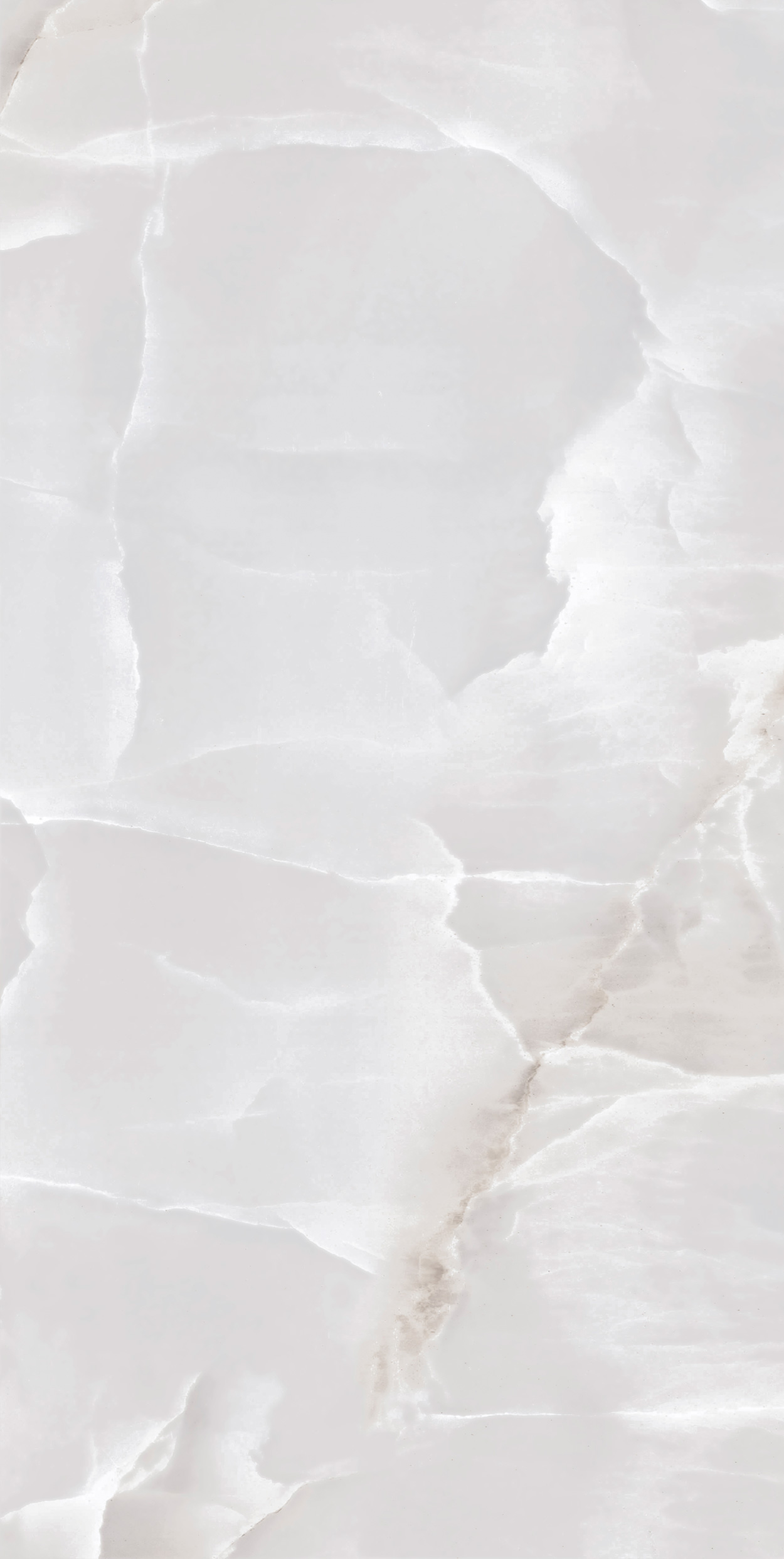 Onice Gri 45x90 Full Lappato 9mm