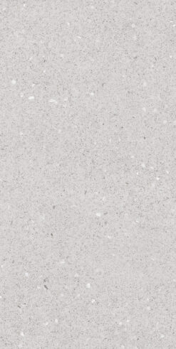 Terazzo Açık Gri 60x120 Mat 9mm