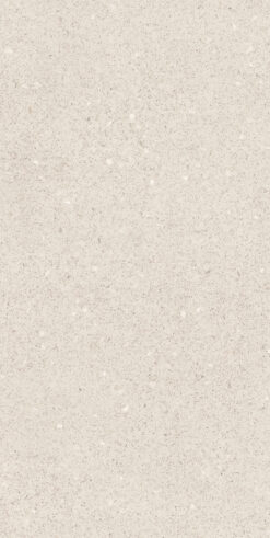 Terazzo Bej 60x120 Mat 9mm